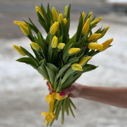  Букет желтых тюльпанов, заказать с доставкой в Нижнем Новгороде